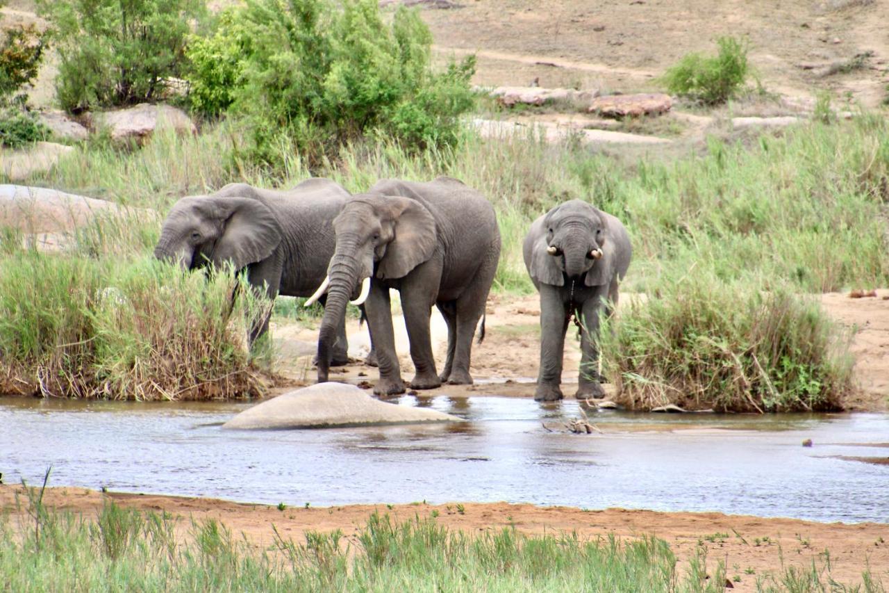 Jackals Dream - Self Catering Villa Bordering Kruger National Park Marloth Park Esterno foto